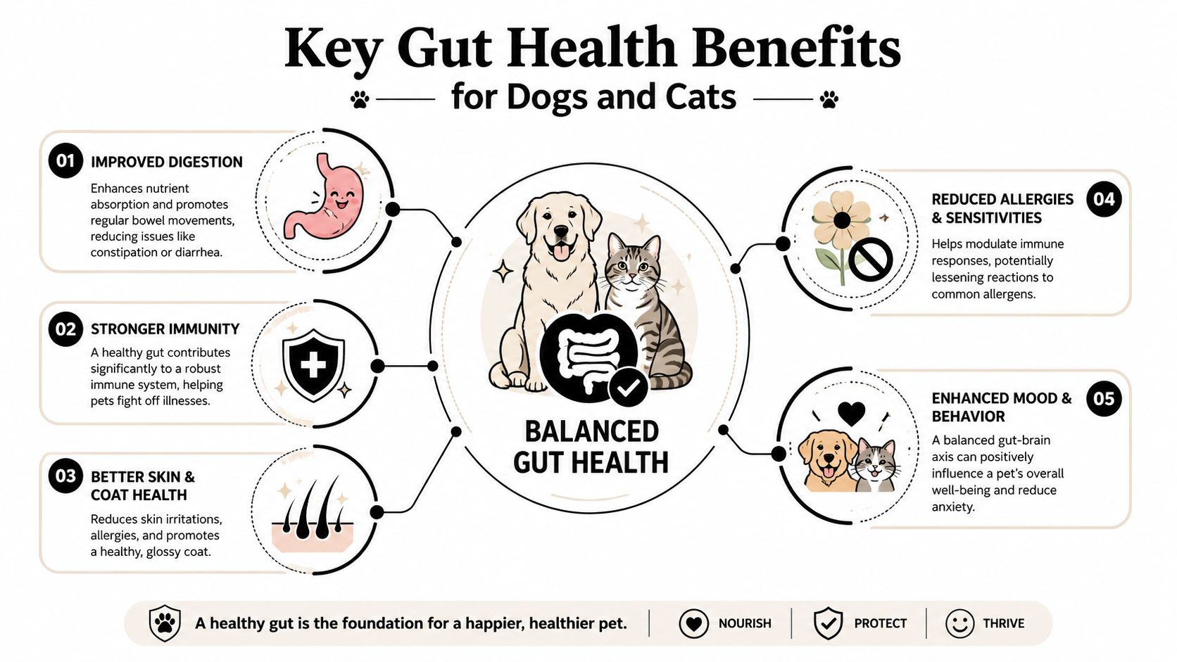An educational infographic outlining five key gut health benefits for cats and dogs, including immunity and skin health.