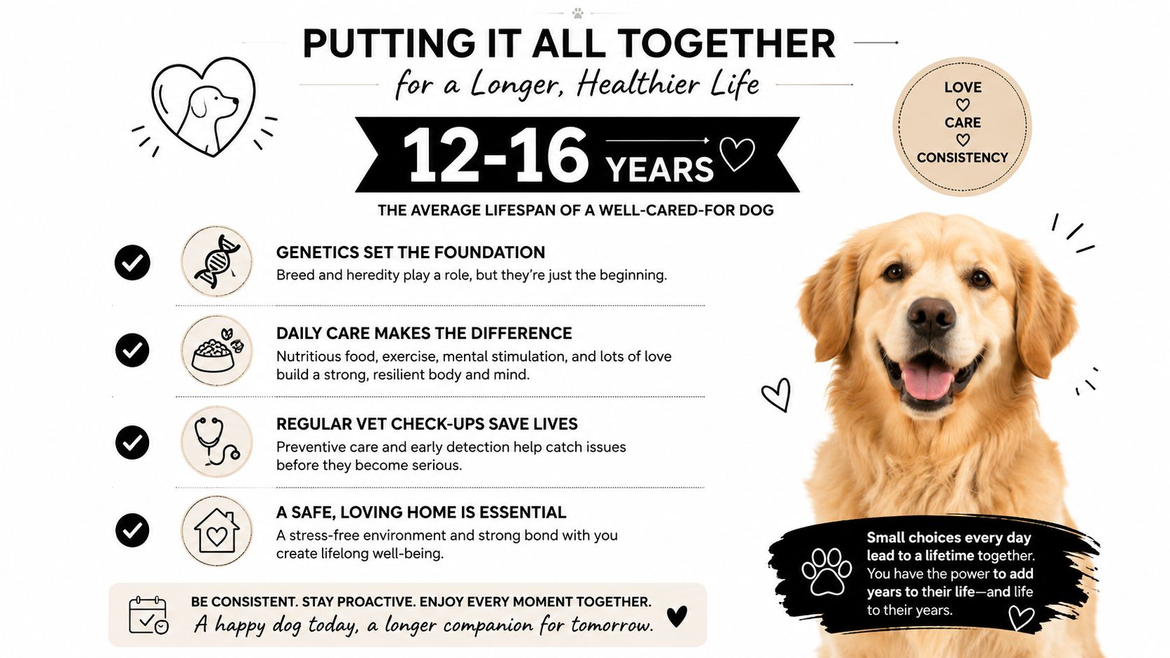 An infographic titled Putting It All Together for a Longer, Healthier Life illustrating factors for dog longevity.