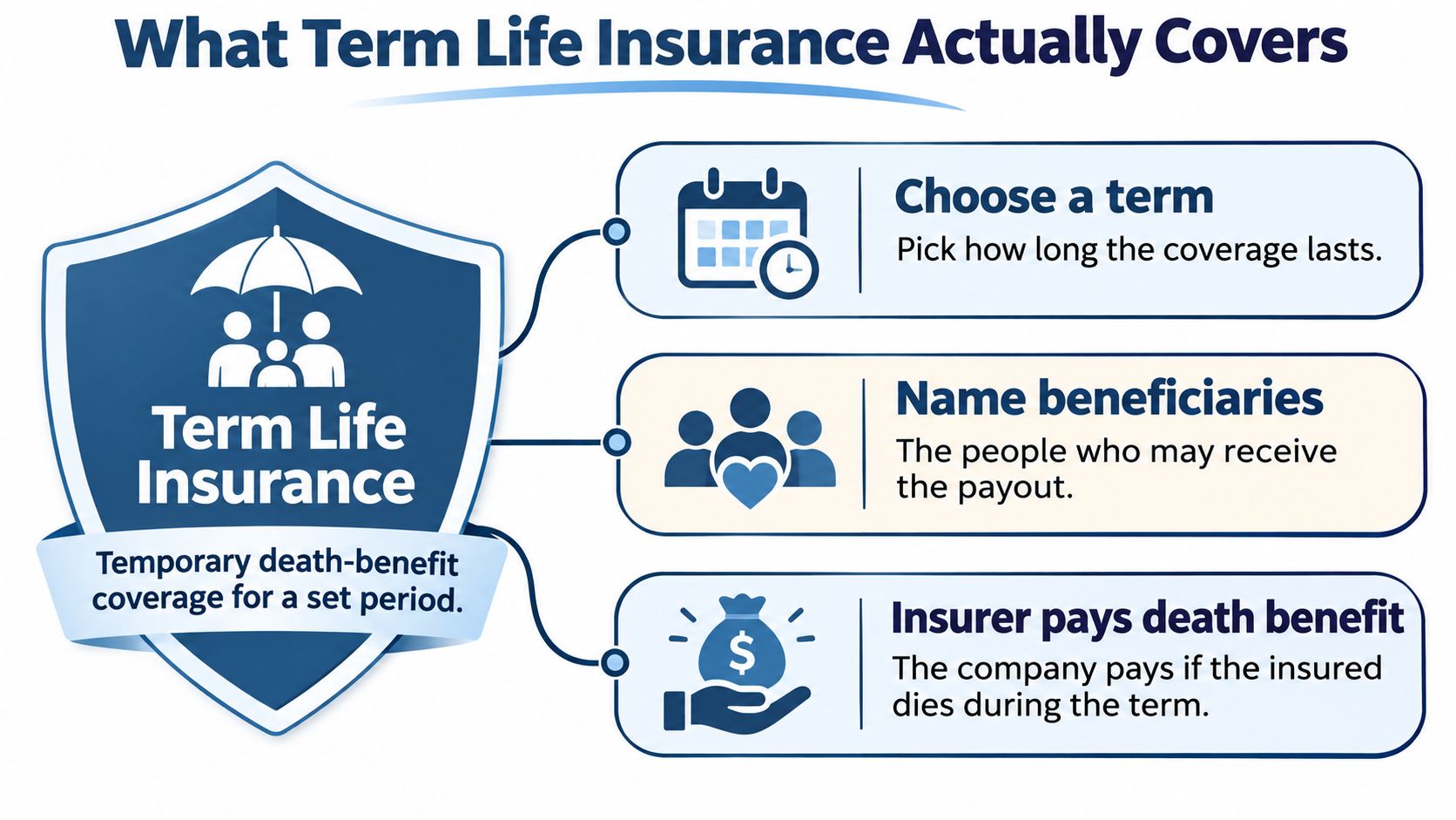 An infographic explaining how term life insurance works, including choosing a term, naming beneficiaries, and death benefits.