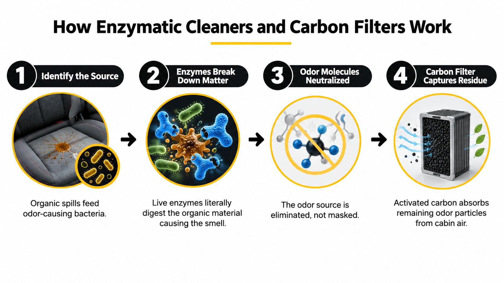 A diagram illustrating the four steps of how enzymatic cleaners and carbon filters remove odors from cars.