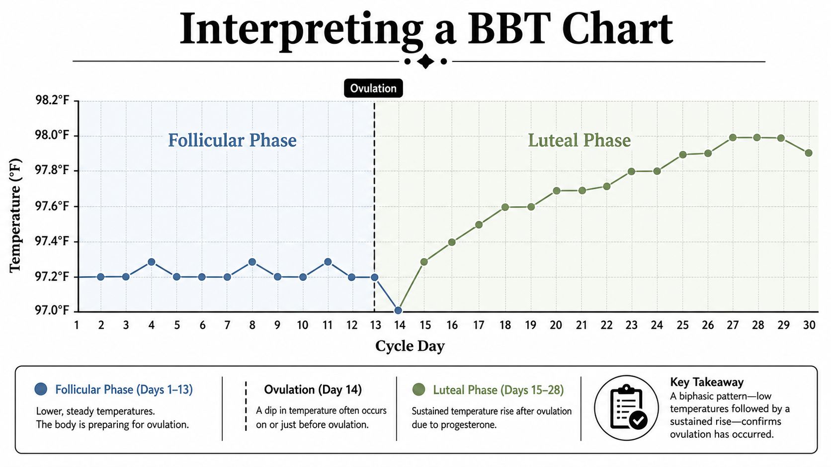 A line graph showing a Basal Body Temperature (BBT) chart with follicular and luteal phases highlighted.