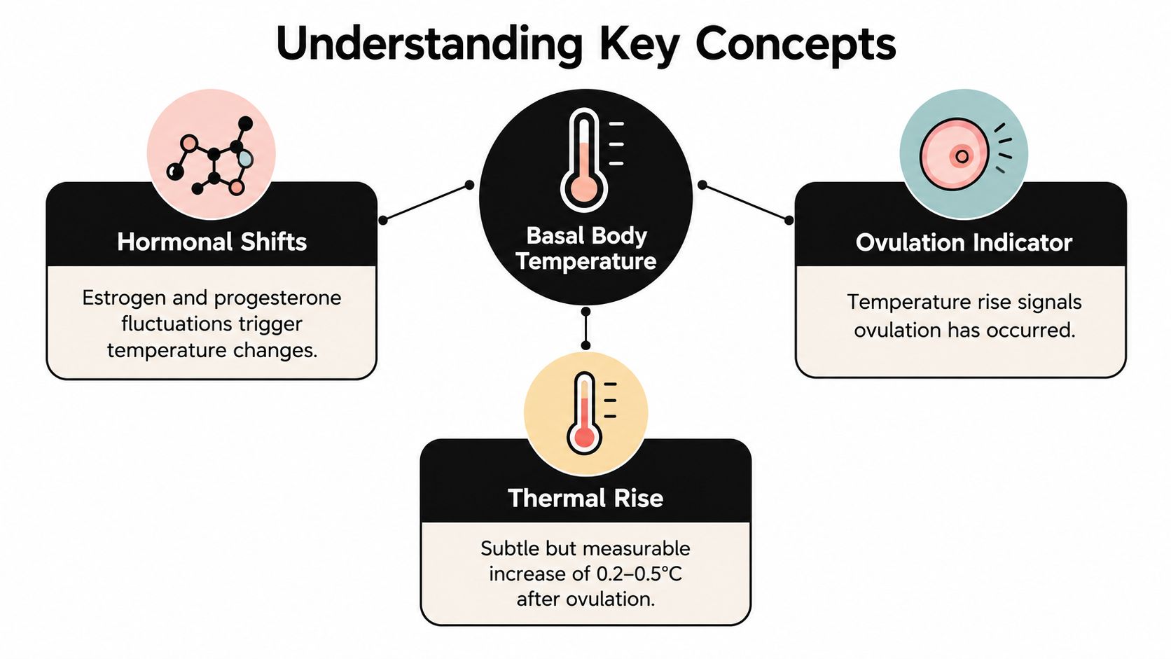A diagram explaining how basal body temperature tracks hormonal shifts and indicates ovulation in natural cycles.