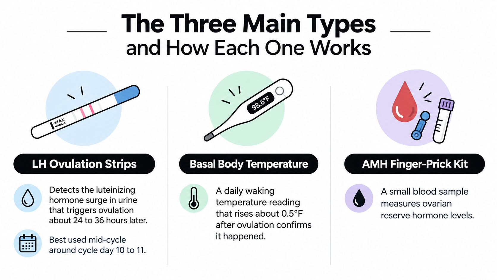 An infographic showing three main types of home fertility tests, including LH strips, basal temperature, and AMH kits.