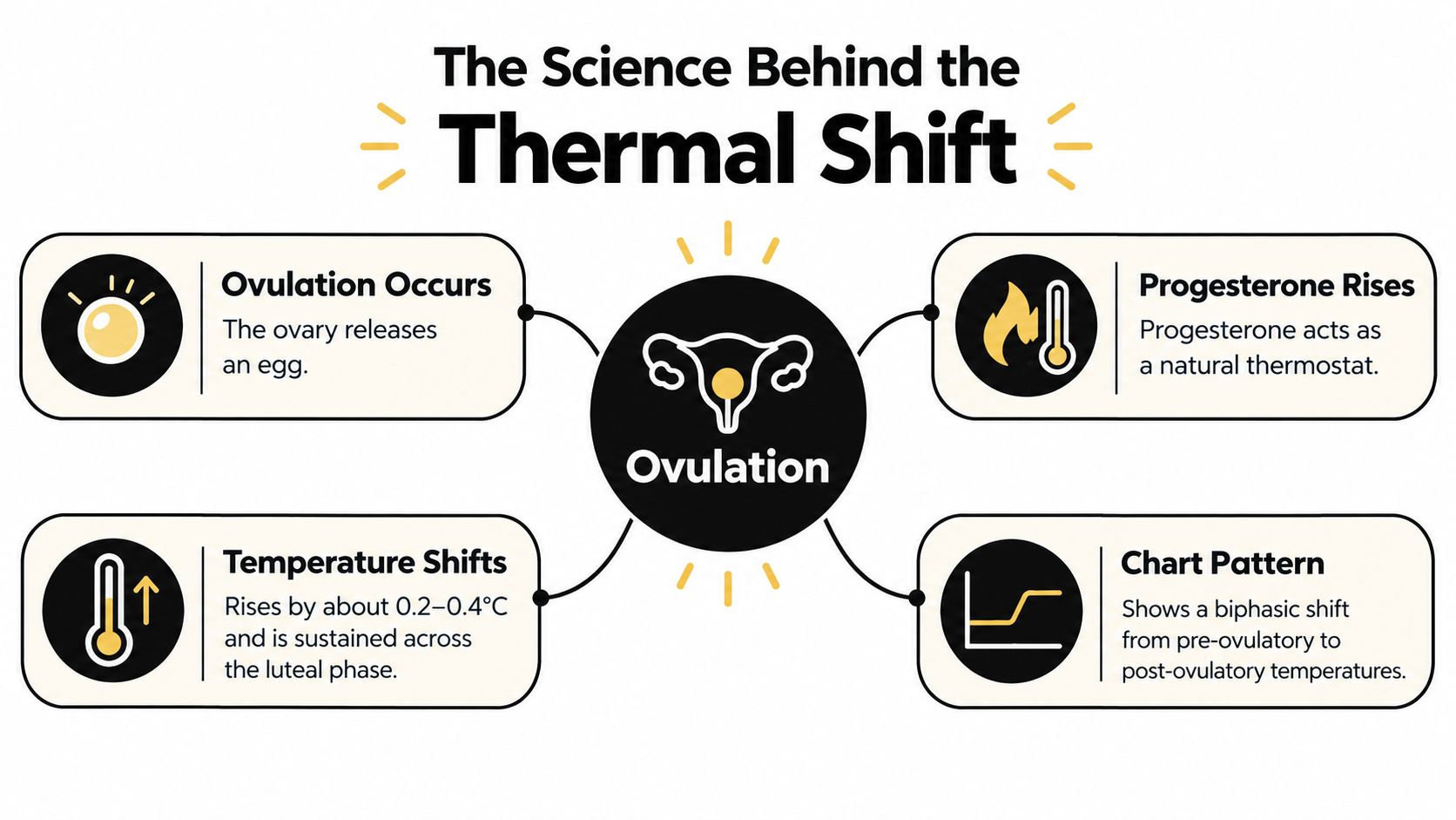 A diagram explaining the science behind the thermal shift in ovulation, featuring hormones and temperature changes.
