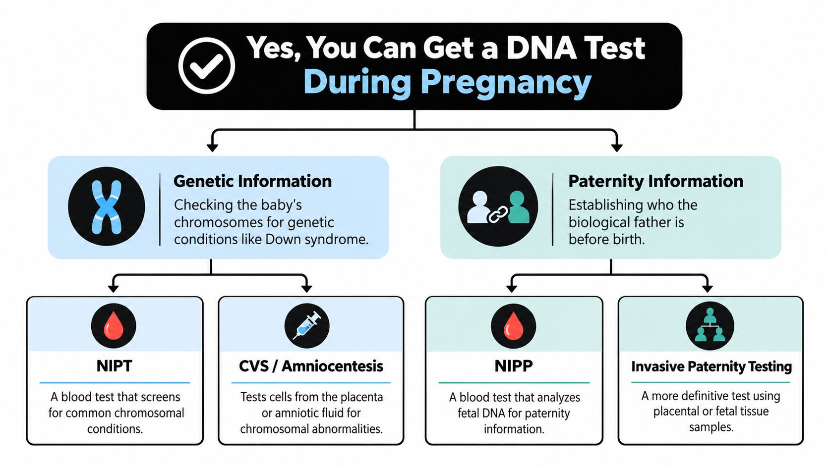 A flow chart explaining options for genetic or paternity DNA testing during pregnancy using various methods.