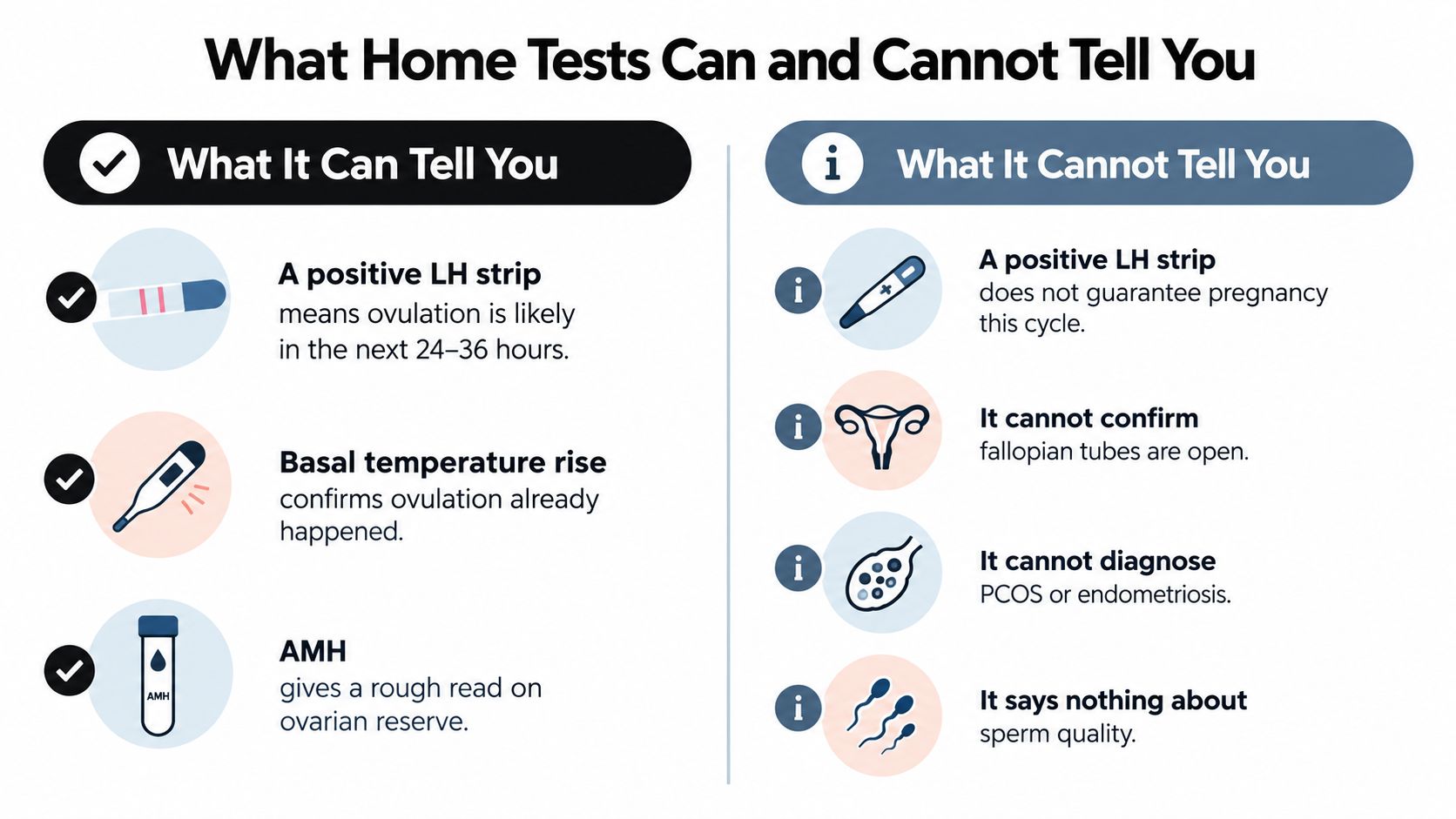 An infographic titled What Home Tests Can and Cannot Tell You comparing fertility test capabilities and limitations.
