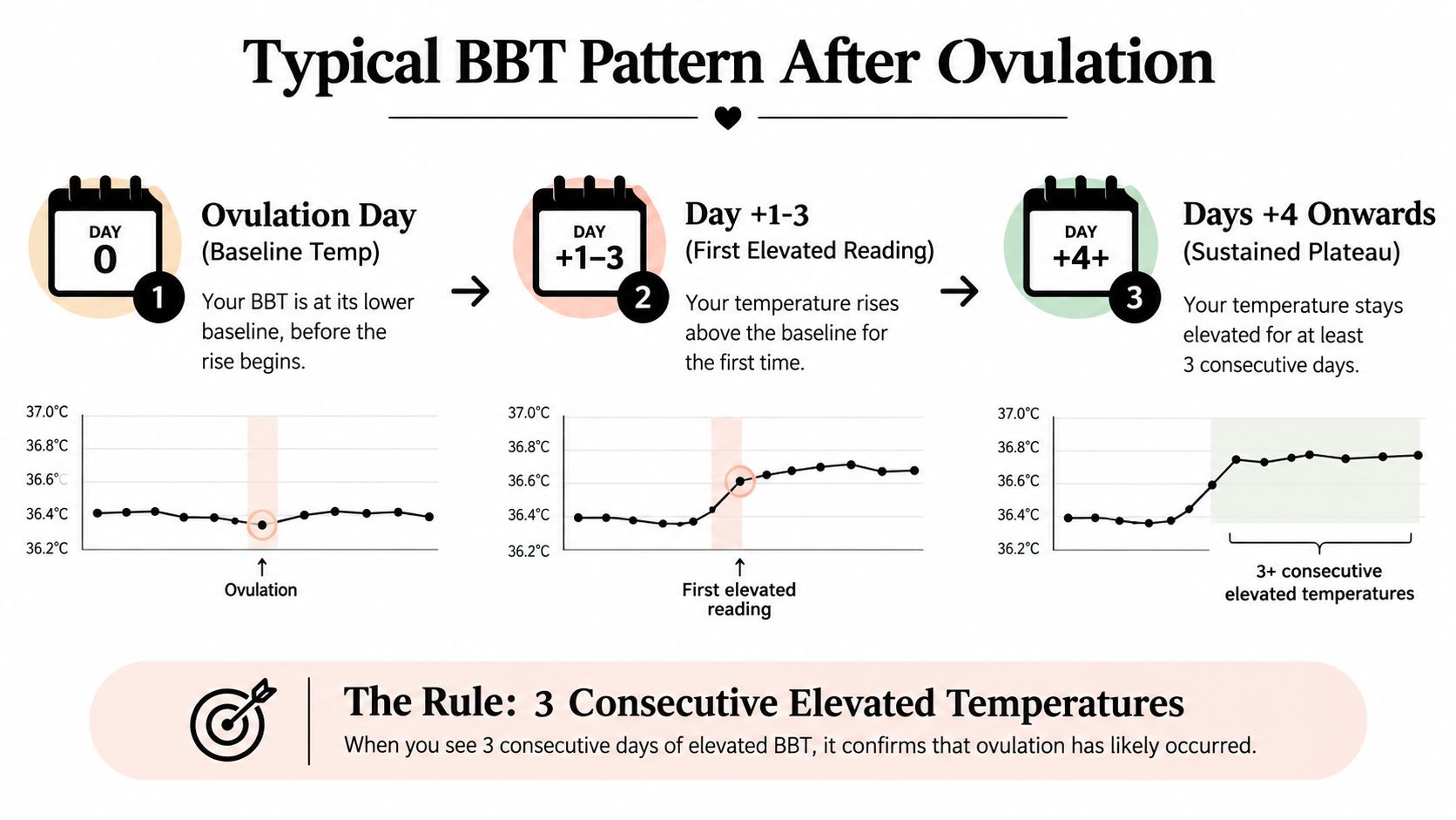 A diagram illustrating the typical basal body temperature pattern and the three consecutive elevated temperature rule.
