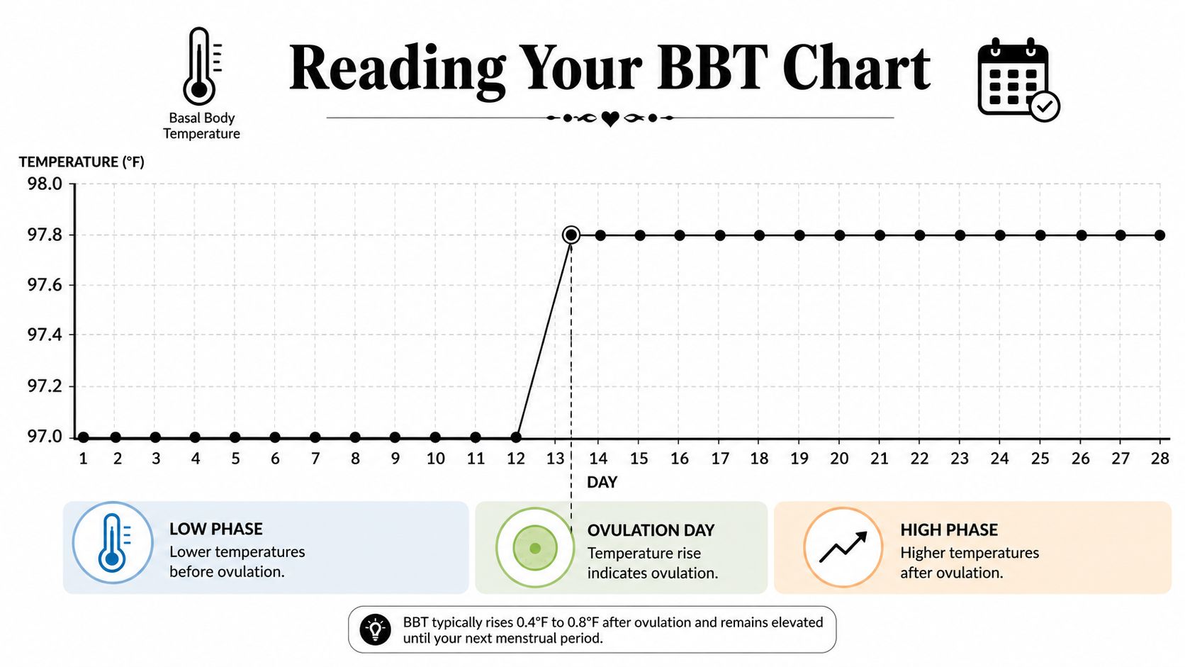 A line chart demonstrating the shift in basal body temperature across a twenty-eight day menstrual cycle.