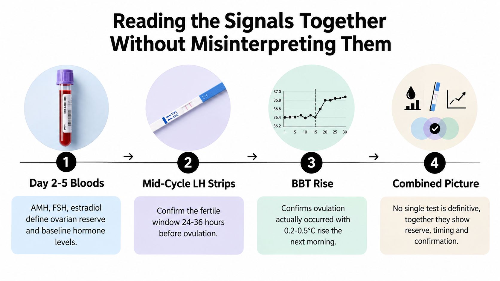A four-step infographic illustrating how blood tests, LH strips, and BBT tracking provide a comprehensive fertility profile.