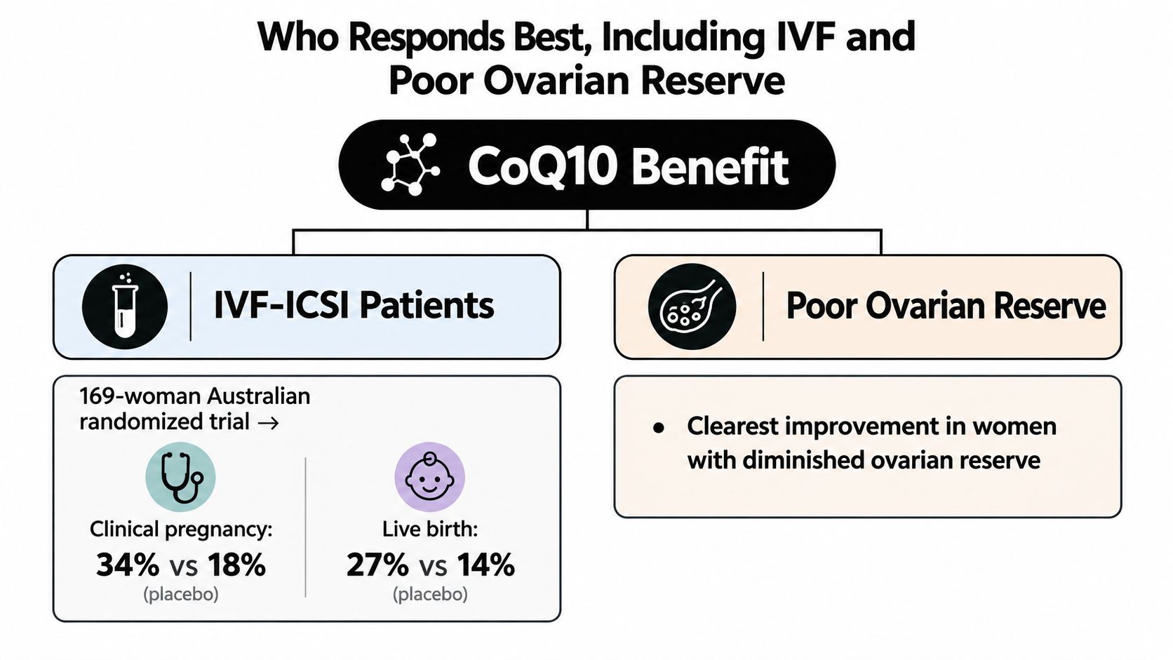 An infographic showing the benefits of CoQ10 supplements for IVF-ICSI patients and those with poor ovarian reserve.
