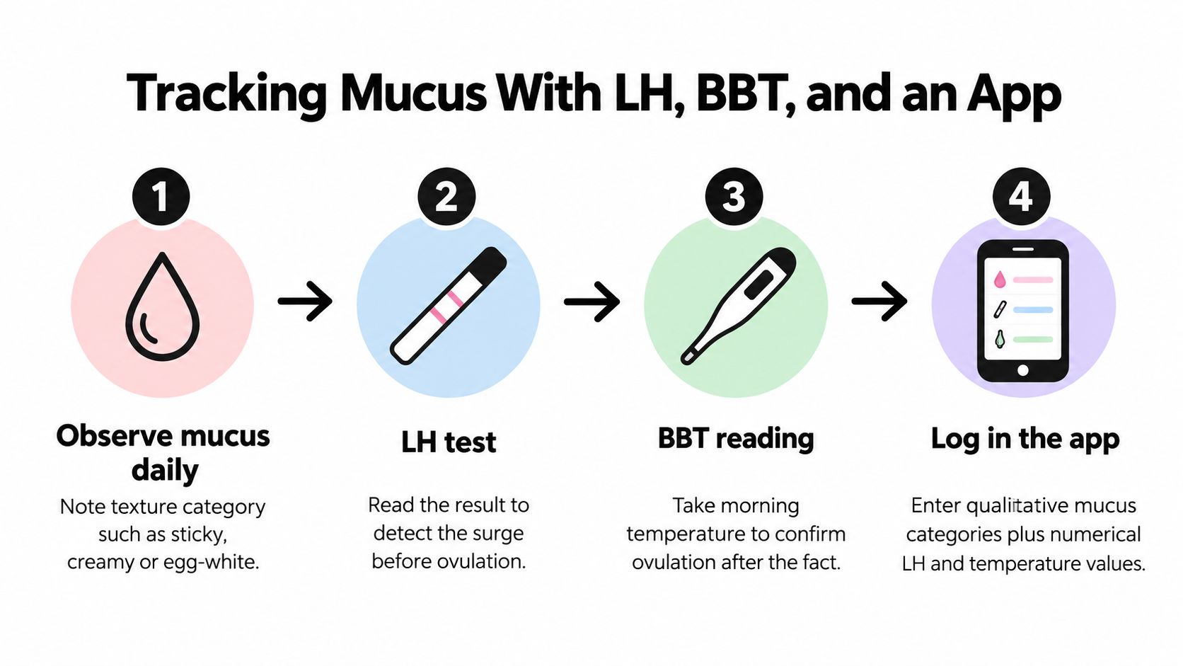 A four-step infographic illustrating how to track fertile cervical mucus using LH tests, BBT, and an app.