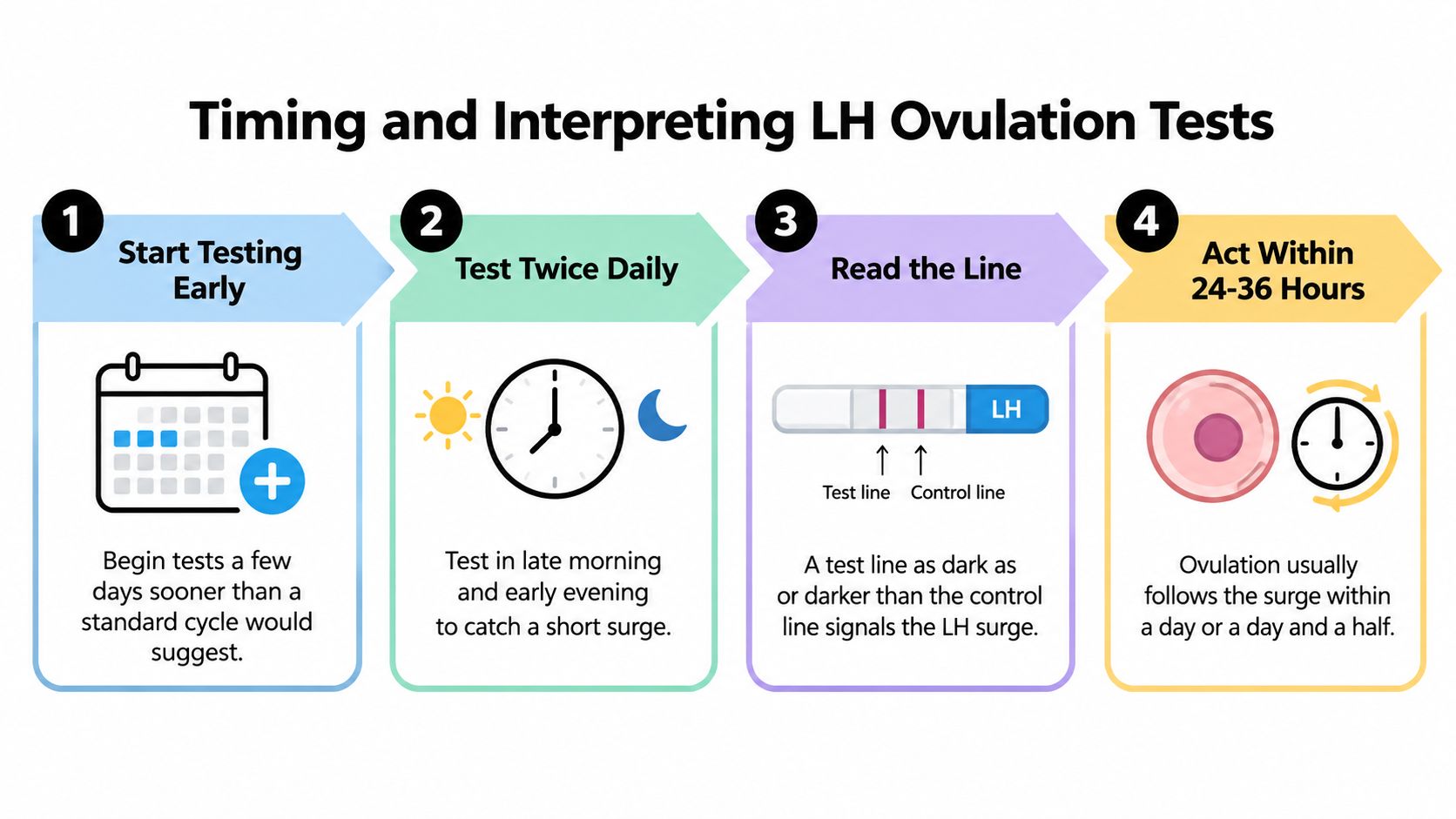 A four-step infographic illustrating how to time and interpret LH ovulation tests for tracking fertility.