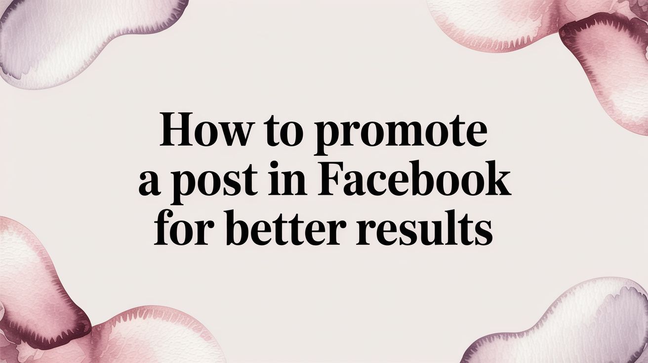 How to Promote a Post in Facebook for Better Results | AdStellar