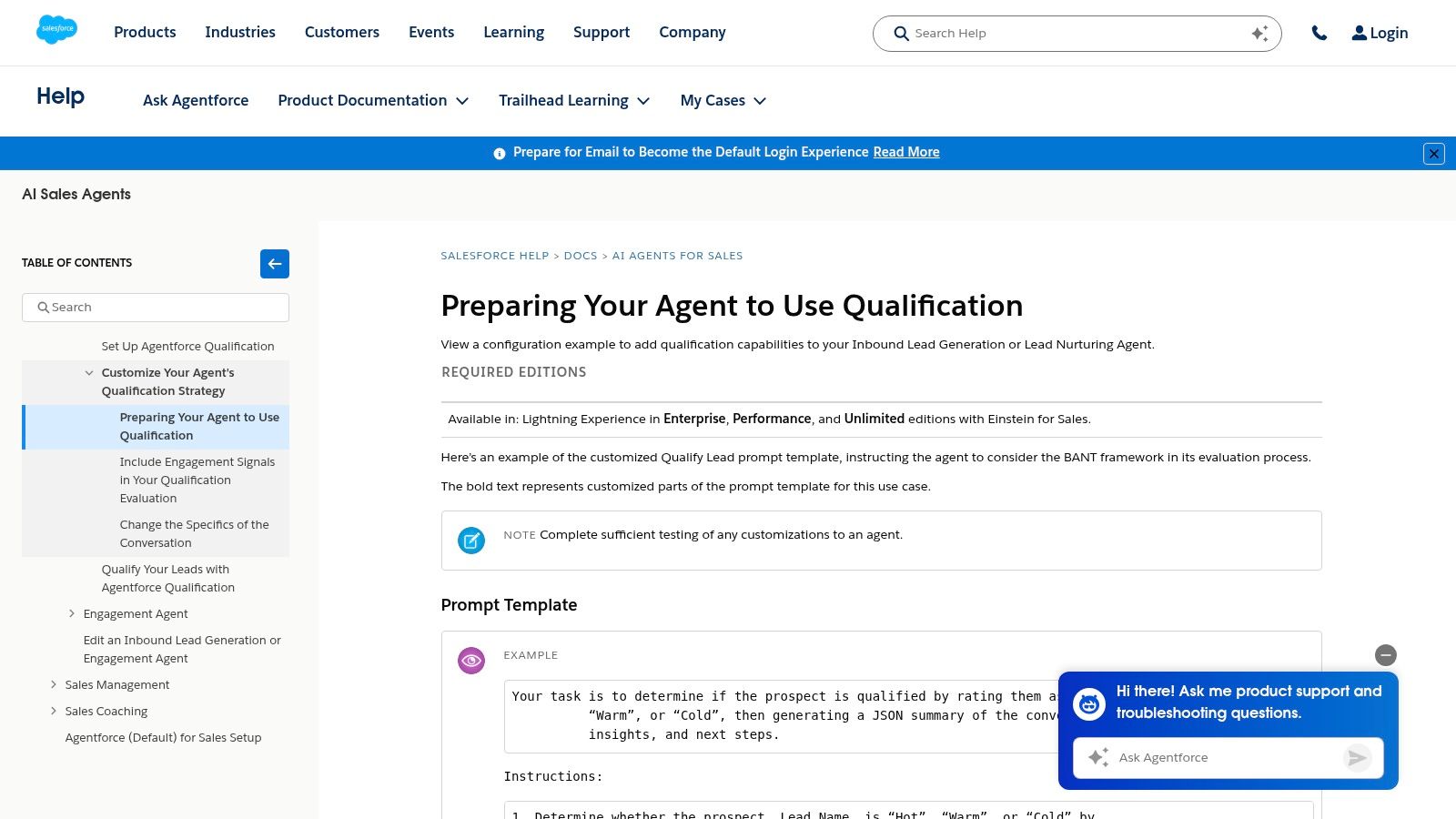 Salesforce Help, Qualify Lead Prompt Template