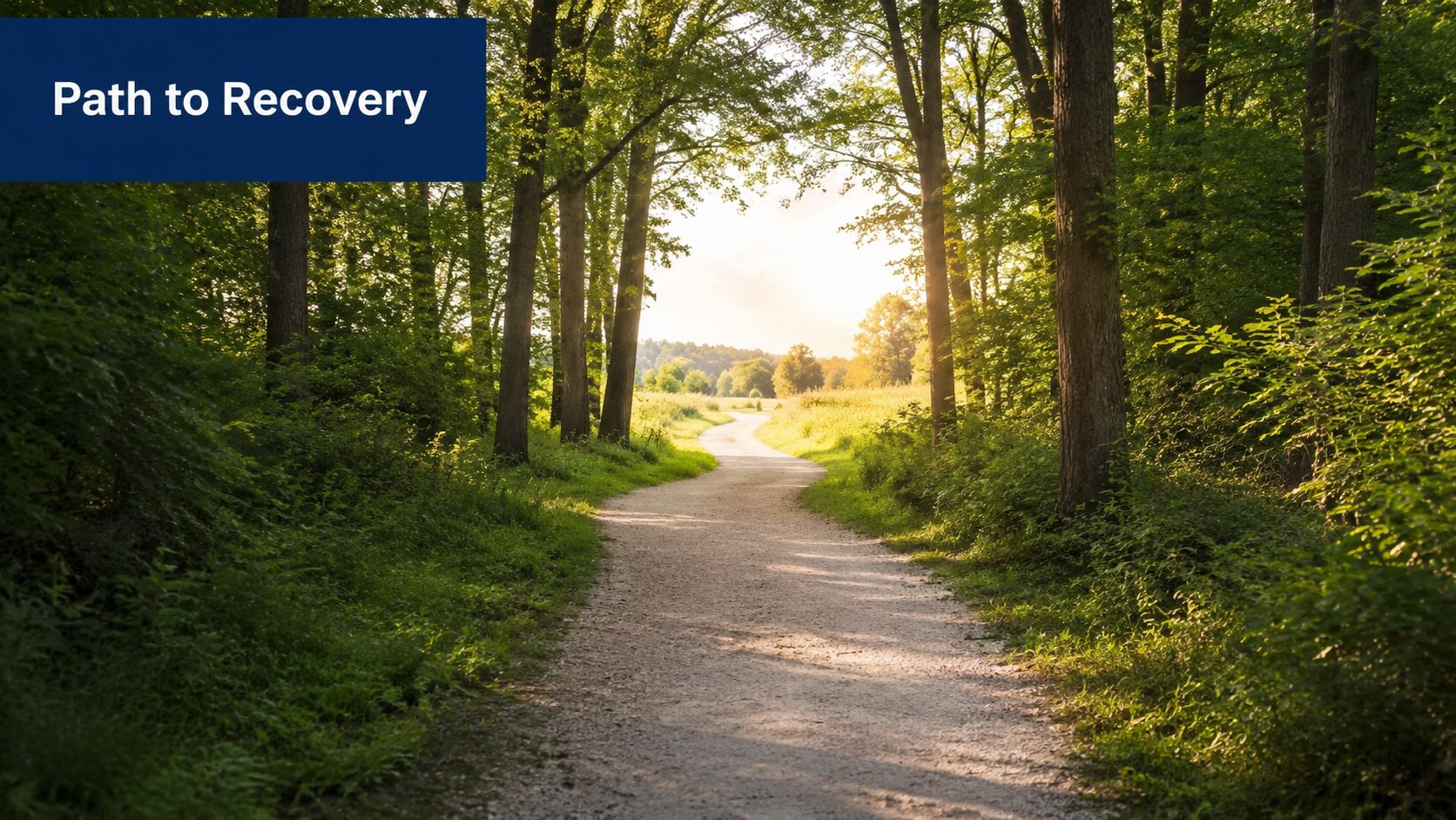 A serene dirt path winding through a sunlit forest, symbolizing a journey toward healing and recovery.