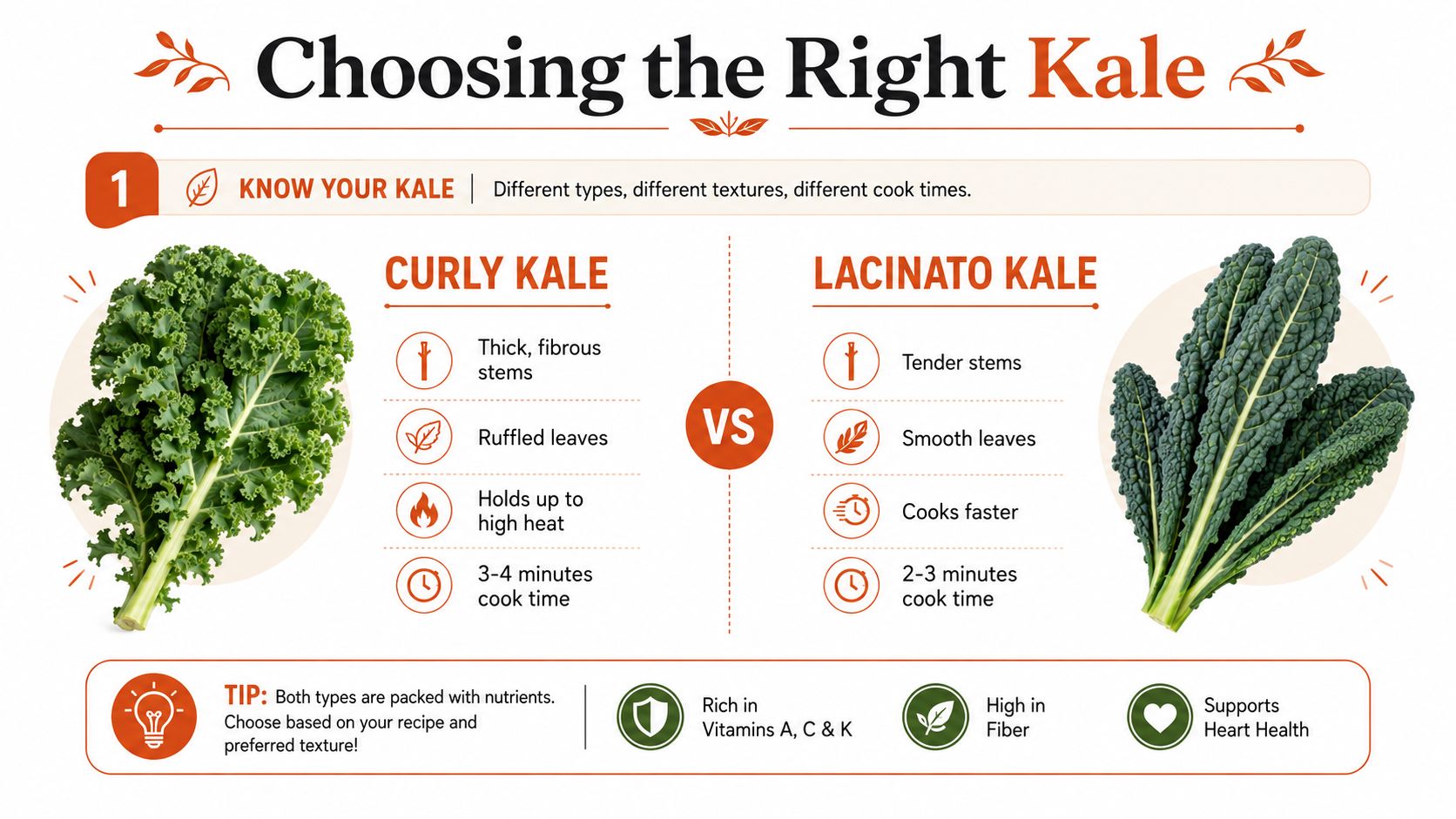 A nutritional comparison infographic between curly kale and lacinato kale highlighting textures and cooking times.