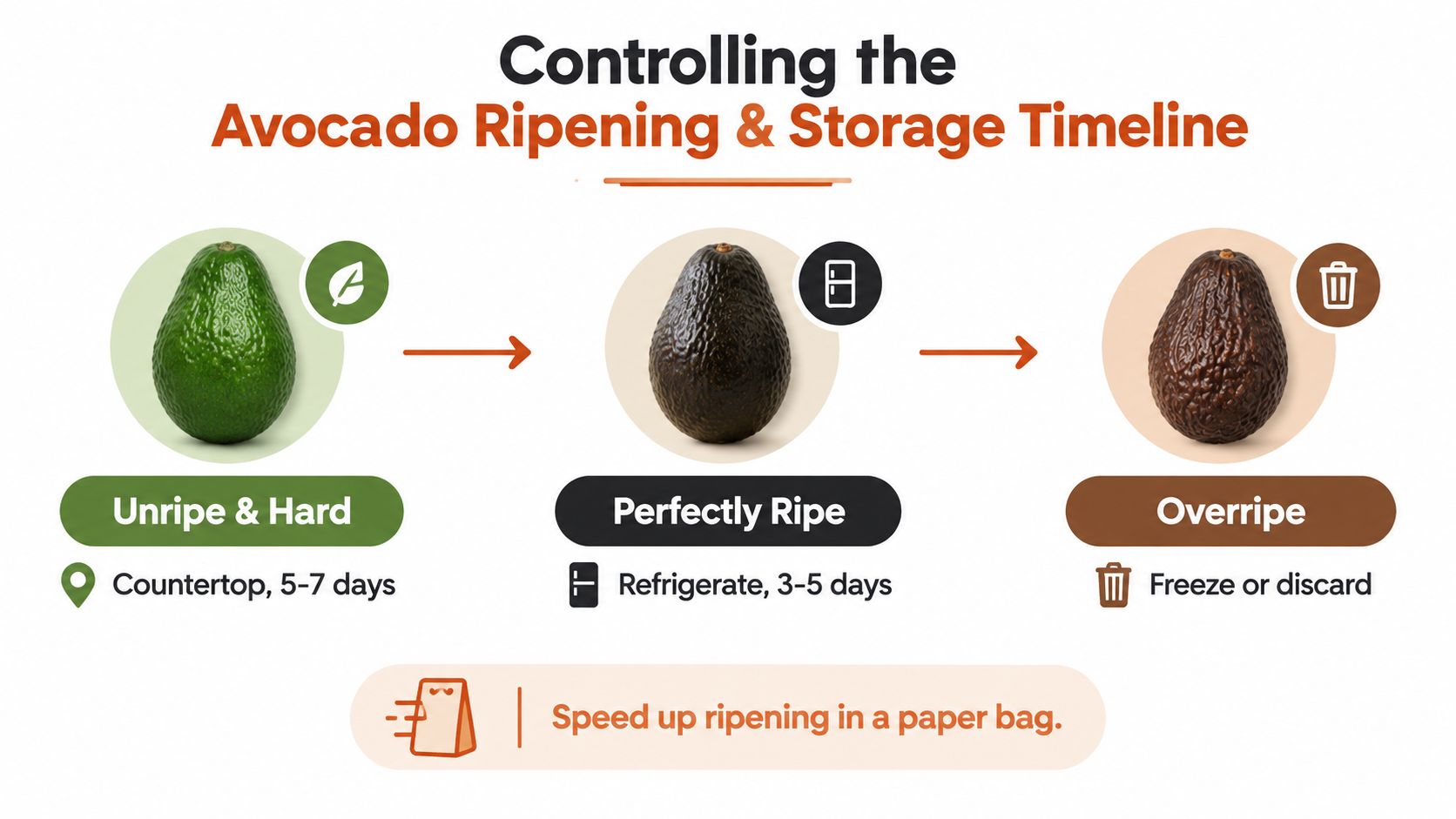 A visual timeline showing three stages of avocado ripening, storage, and how to speed up the process.