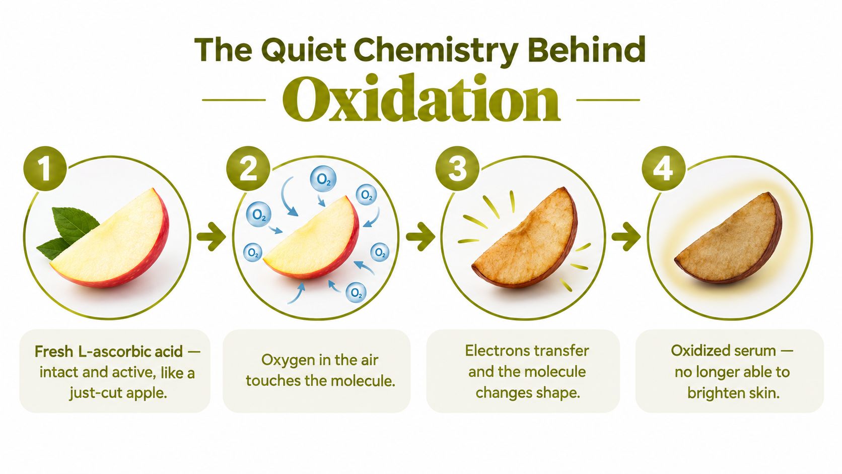 A four-step infographic illustrating the chemical process of vitamin C oxidation using a sliced apple metaphor.