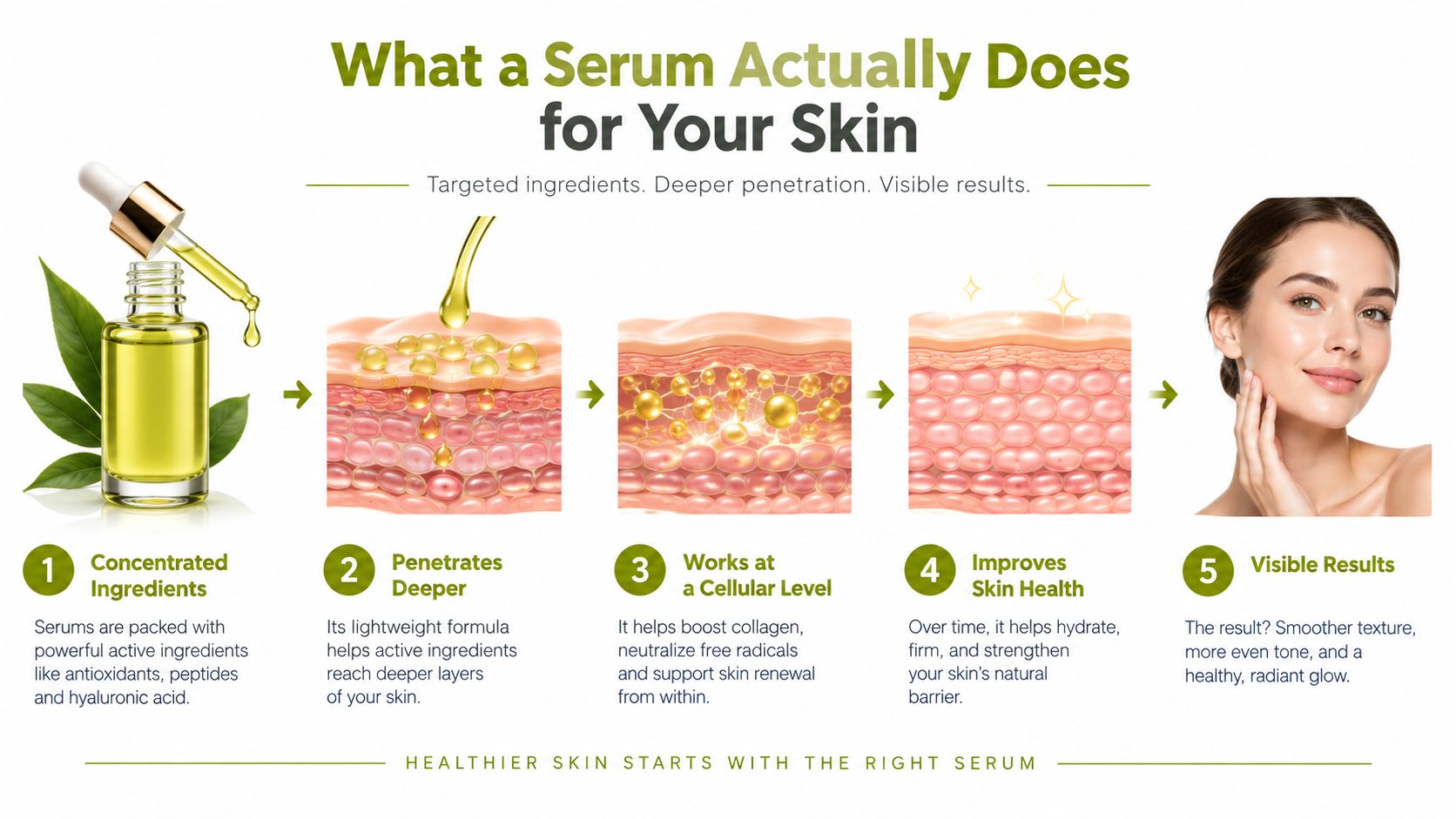 A five-step infographic showing how face serum penetrates skin to improve health and provide radiant results.