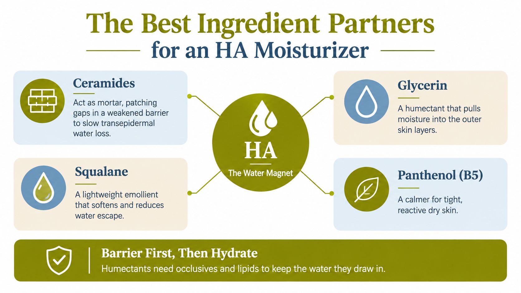A diagram illustrating the best skincare ingredients to pair with hyaluronic acid moisturizer for effective hydration.