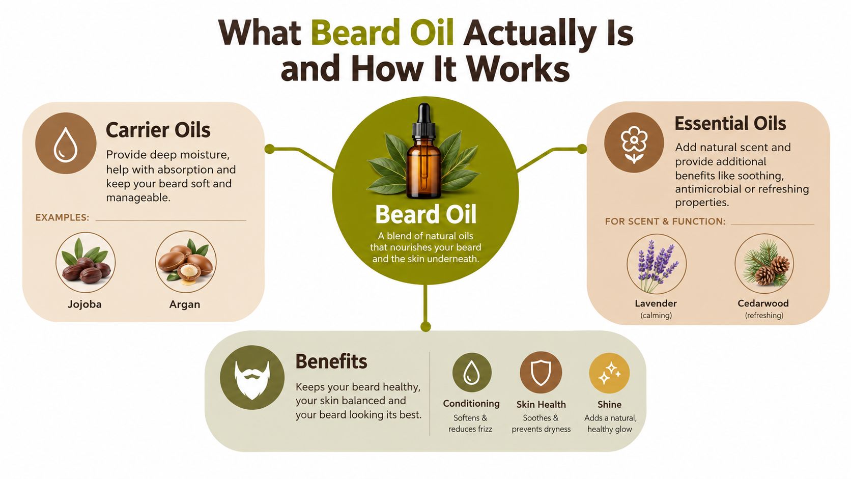 An infographic explaining how beard oil works, detailing its carrier oils, essential oils, and primary benefits.