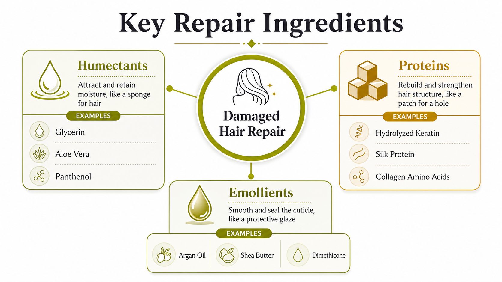 An infographic detailing key hair repair ingredients like humectants, proteins, and emollients for damaged hair care.