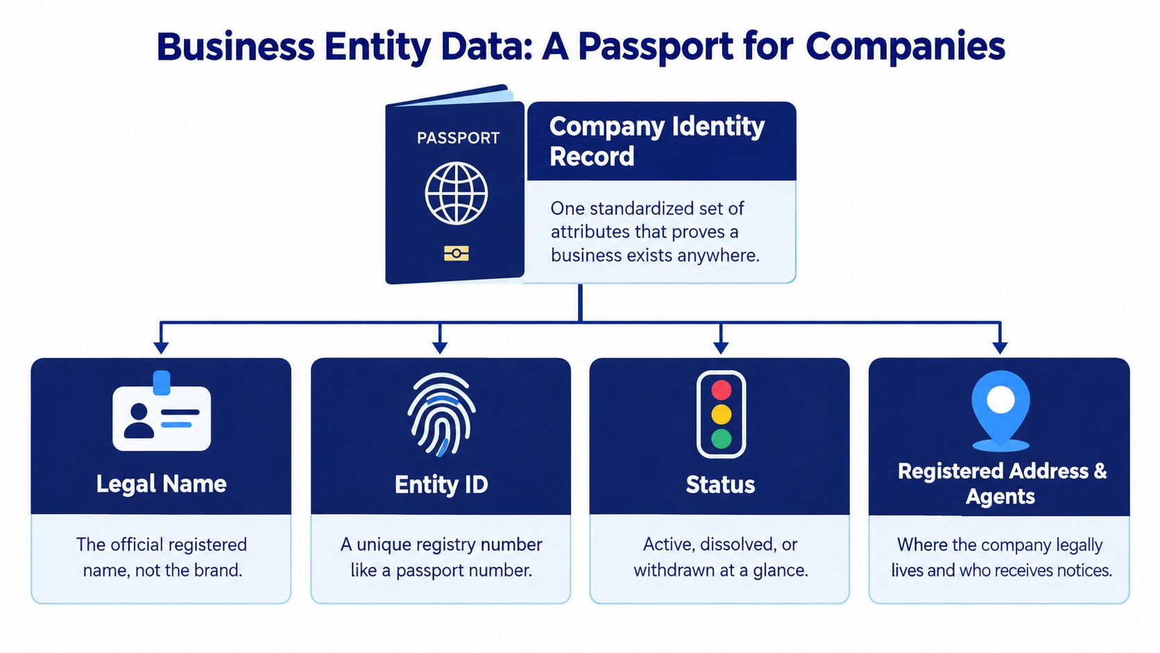 An infographic titled Business Entity Data showing four core attributes of a company identity record passport.
