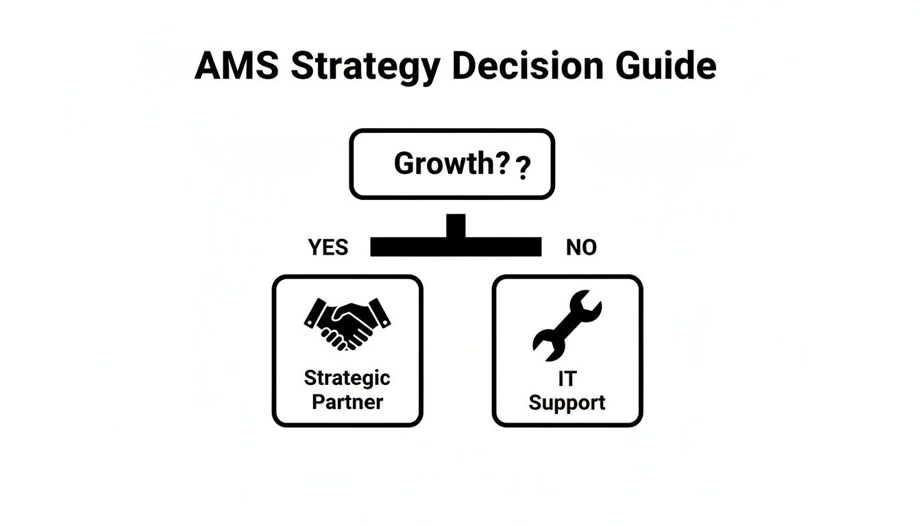 Ein Flussdiagramm mit dem Titel 'AMS Strategy Decision Guide', das Entscheidungen basierend auf 'Wachstum?' darstellt.