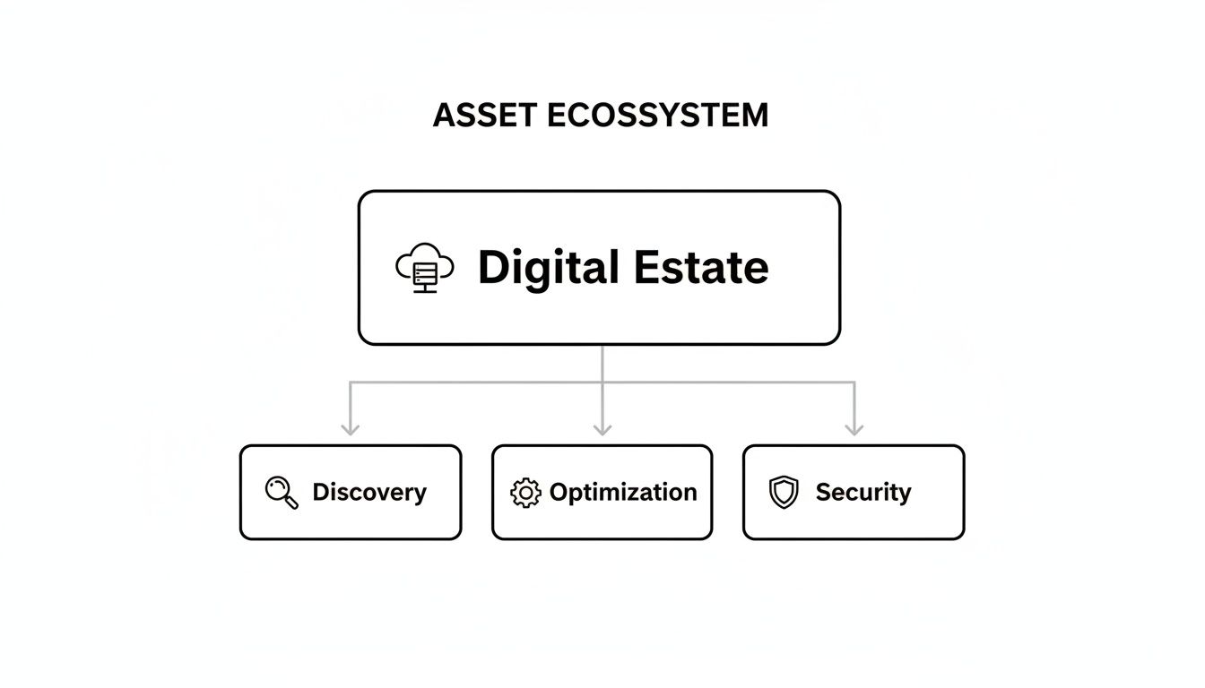 A diagram illustrating a digital asset ecosystem with components for discovery, optimization, and security.