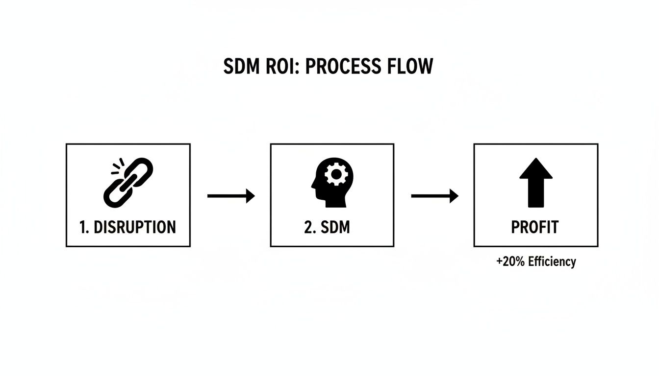 A diagram illustrates the SDM ROI process flow: disruption, followed by SDM, leading to profit with 20% efficiency.