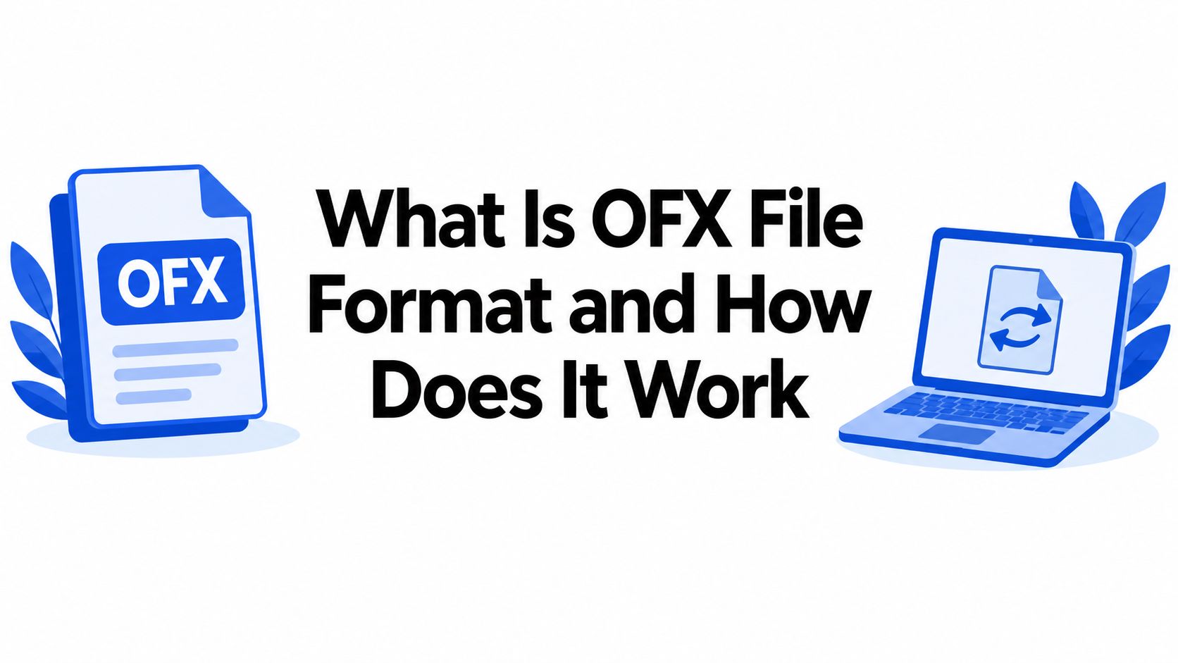 What Is OFX File Format and How Does It Work