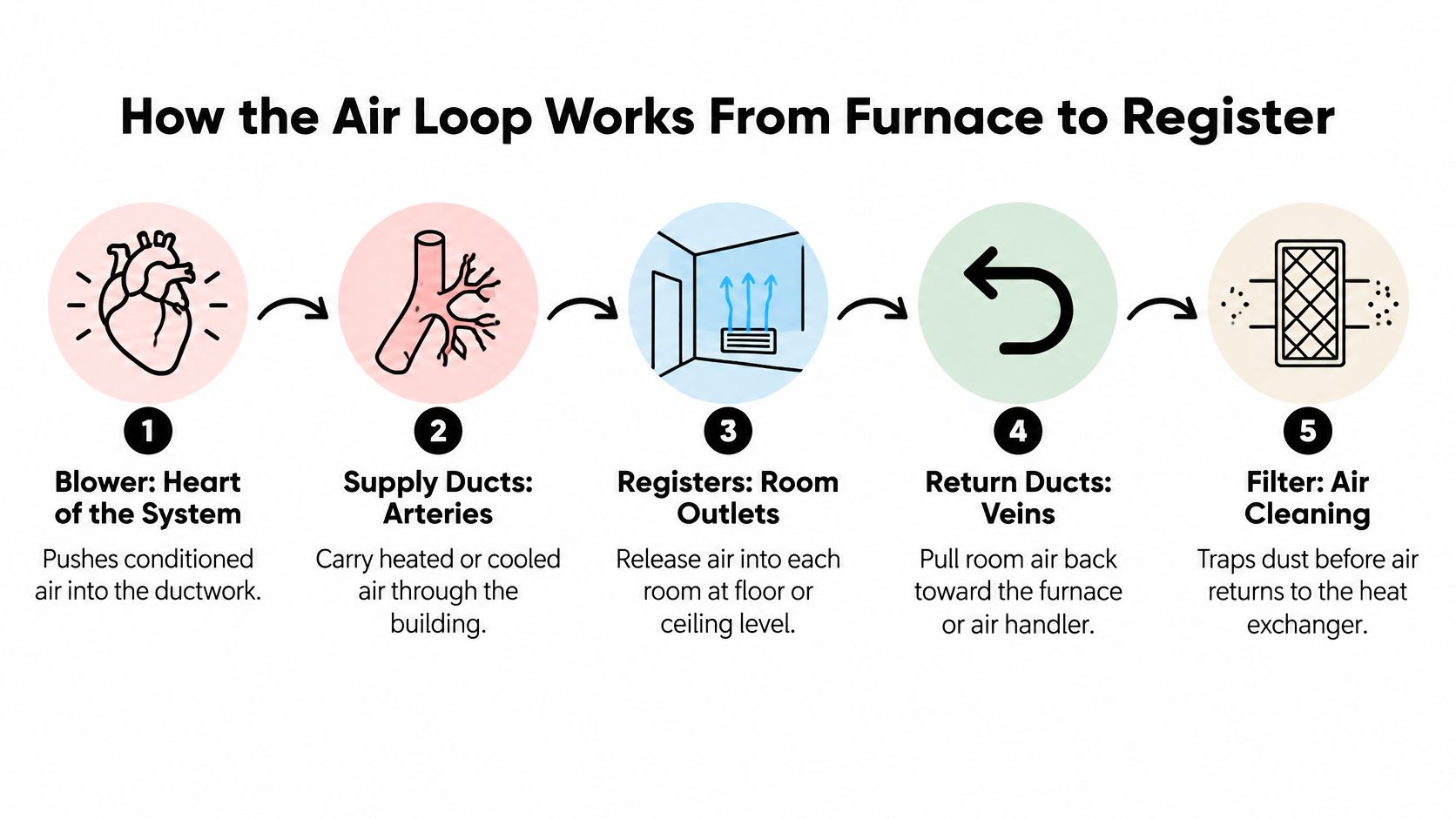 A diagram illustrating the air loop cycle of forced air heating and cooling systems from furnace to register.