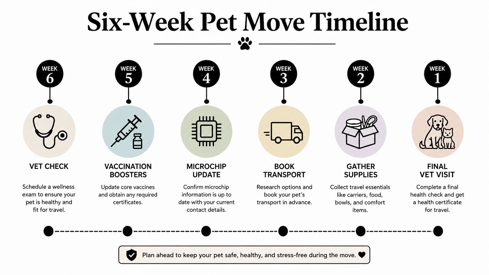 A six-week timeline infographic illustrating the essential steps for preparing pets for a safe and successful move.