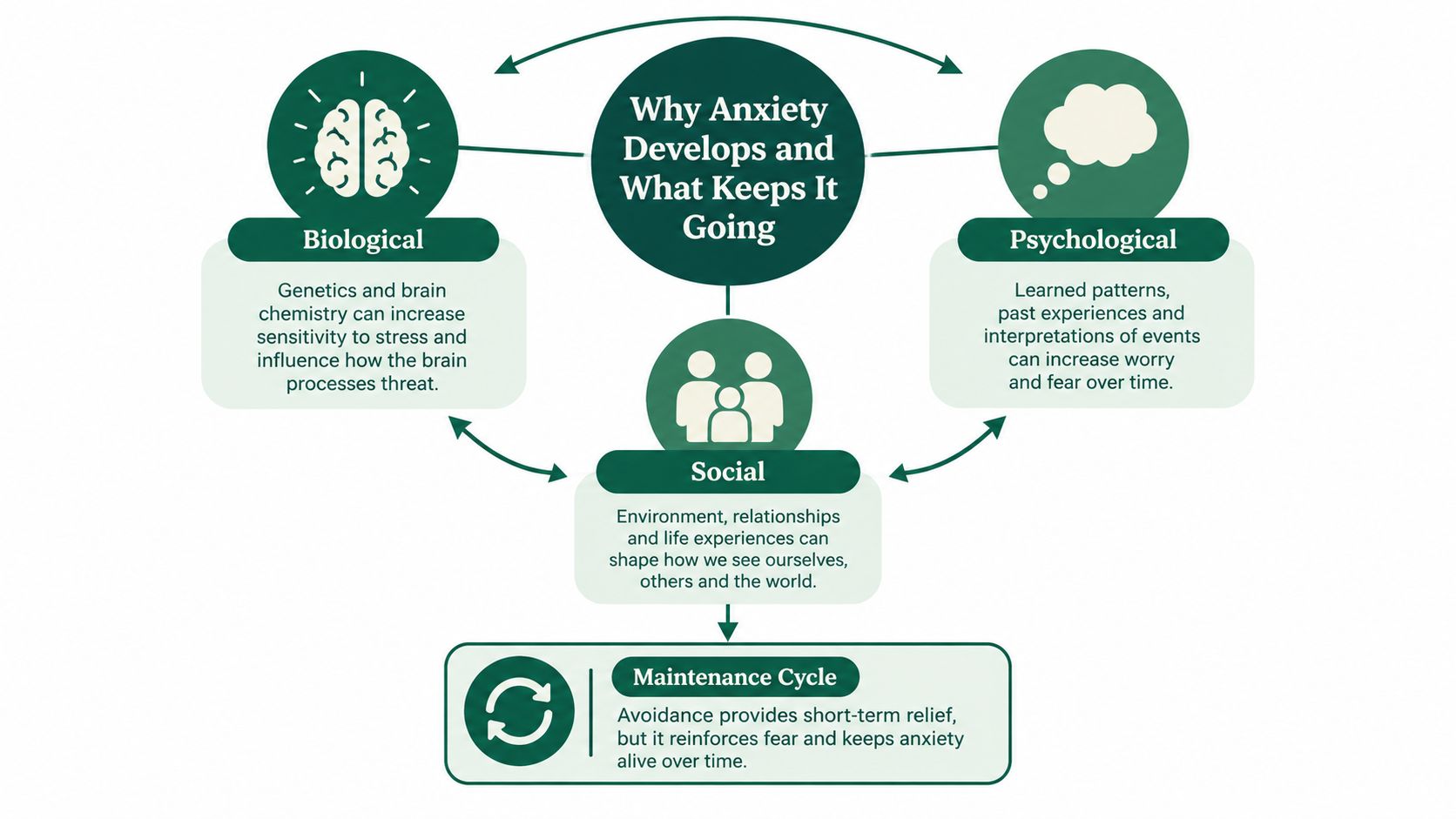 A diagram explaining how biological, psychological, and social factors contribute to the development and maintenance of anxiety.