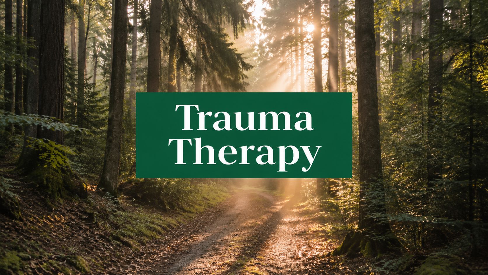 Trauma Therapy for Adults: A Complete Guide to Healing