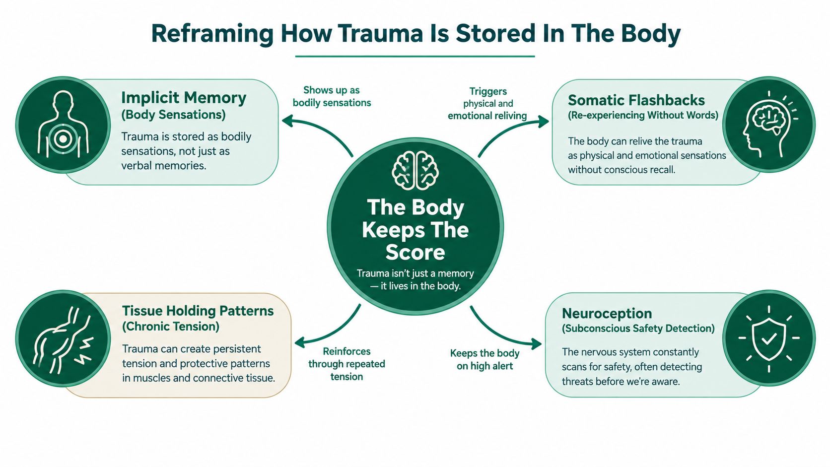 A diagram explaining how trauma is stored in the body, featuring key psychological and physical concepts.