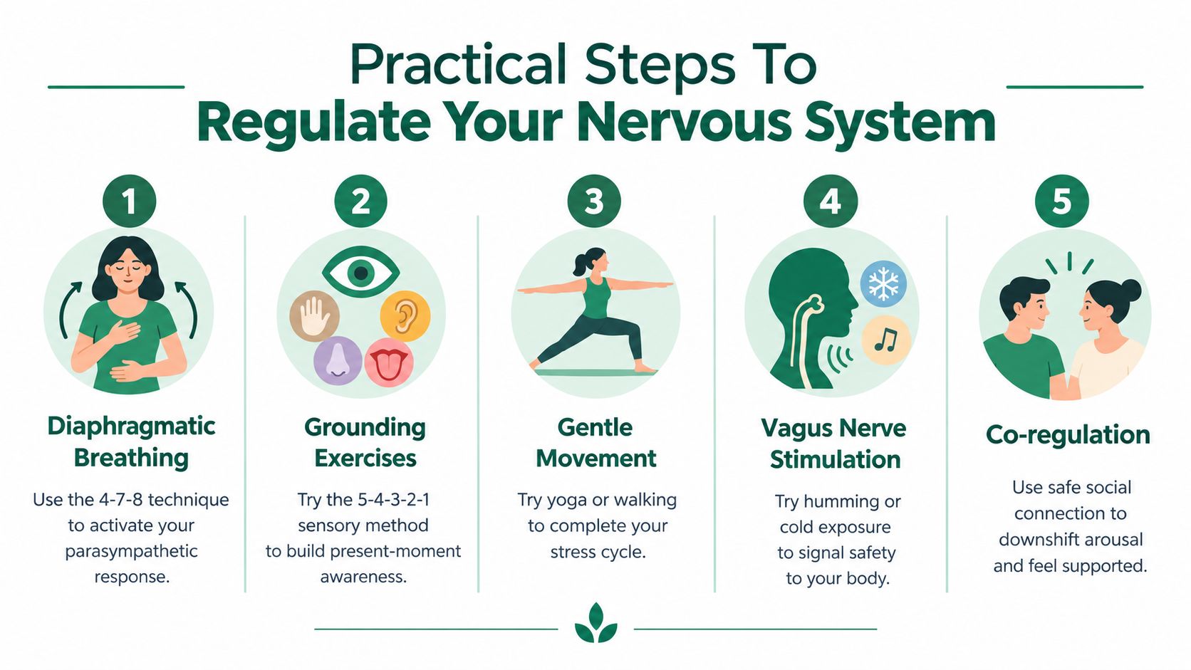 A five-step infographic showing practical methods to regulate your nervous system, including breathing and movement.