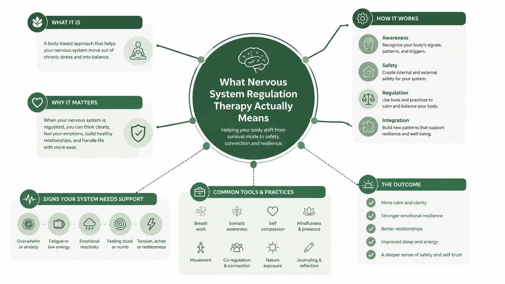 An infographic titled What Nervous System Regulation Therapy Actually Means, showing processes, benefits, tools, and signs of stress.