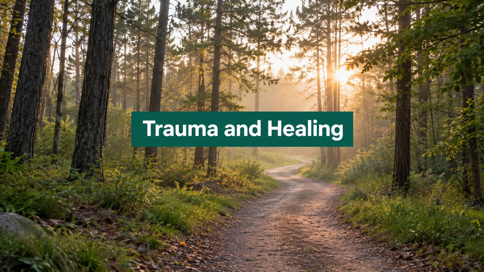 Trauma and Healing: Your Roadmap to Recovery