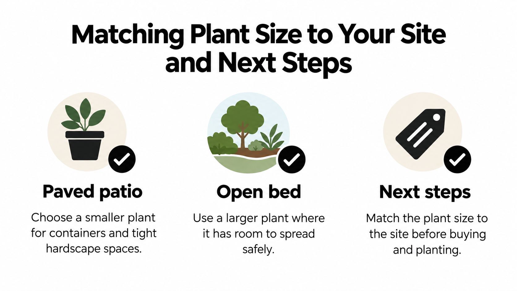 An infographic titled Matching Plant Size to Your Site and Next Steps, providing guidance on plant selection.