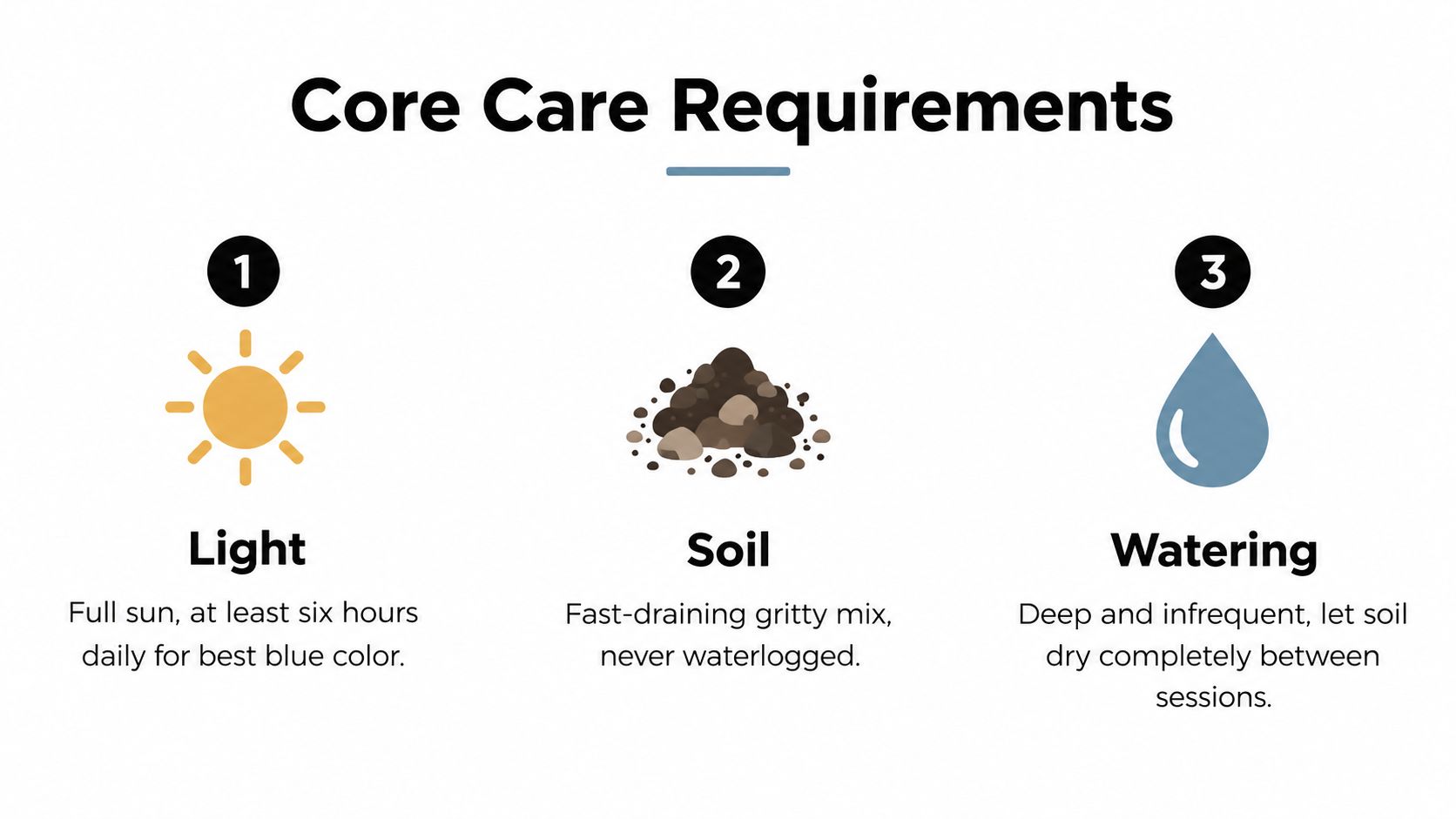 A graphic showing three core care requirements for a plant: light, soil, and watering needs.