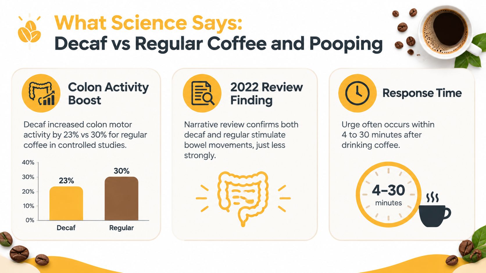 An infographic comparing how decaf and regular coffee stimulate bowel movements and colon activity.