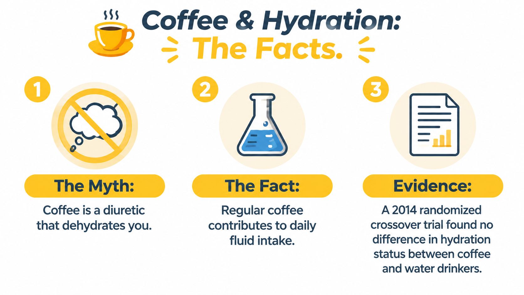 An infographic titled Coffee & Hydration presenting facts about how coffee does not cause dehydration.