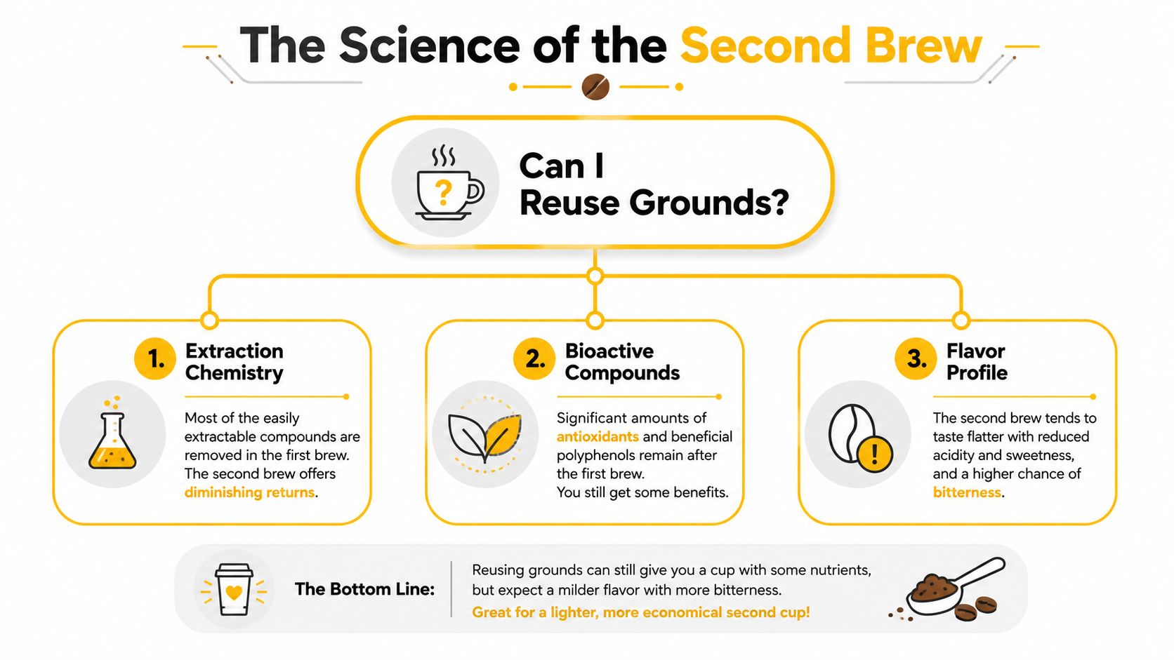 An infographic explaining the science behind reusing coffee grounds for a second brew.