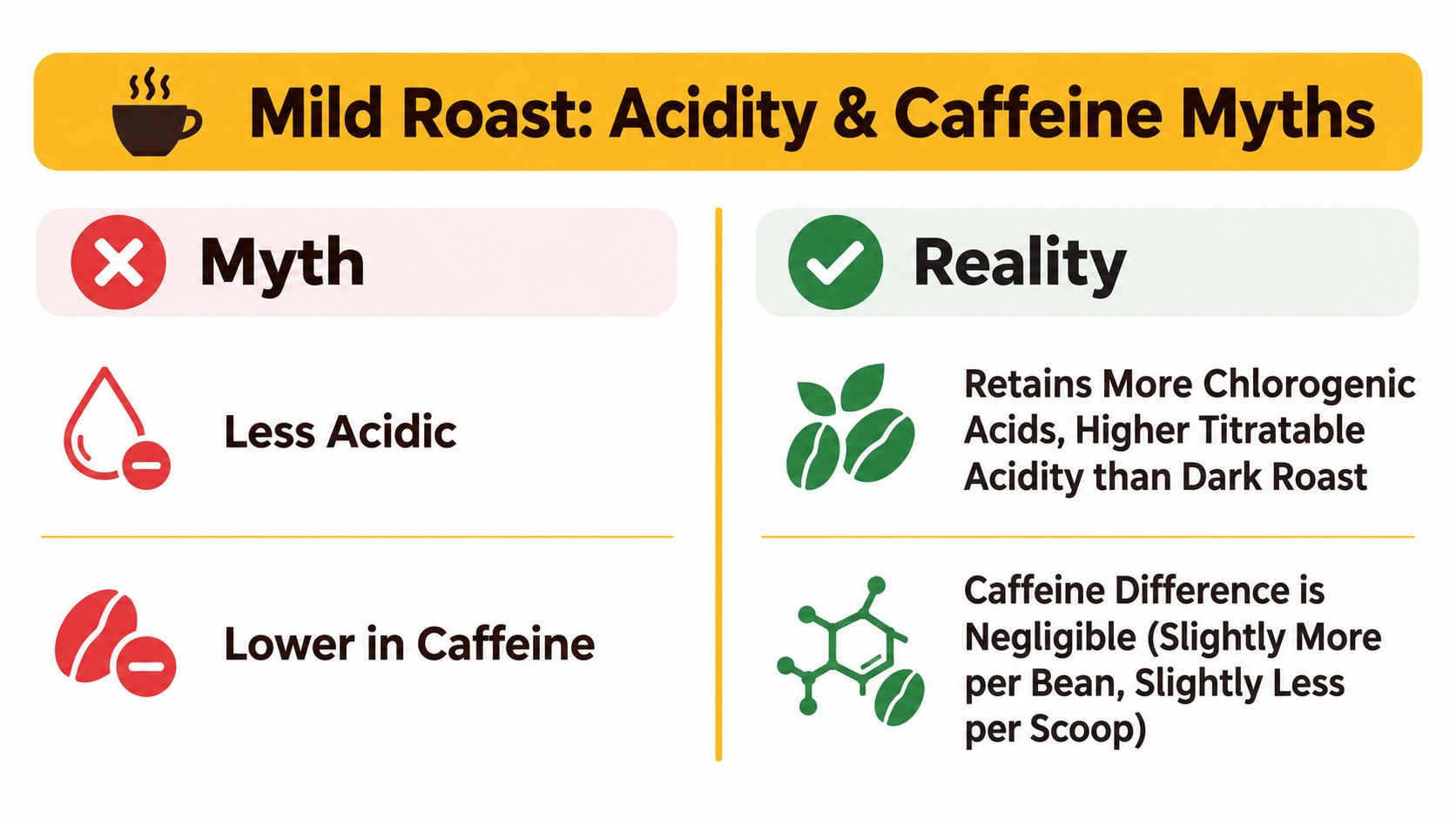 An infographic titled Mild Roast Acidity and Caffeine Myths contrasting common misconceptions with scientific realities about coffee.
