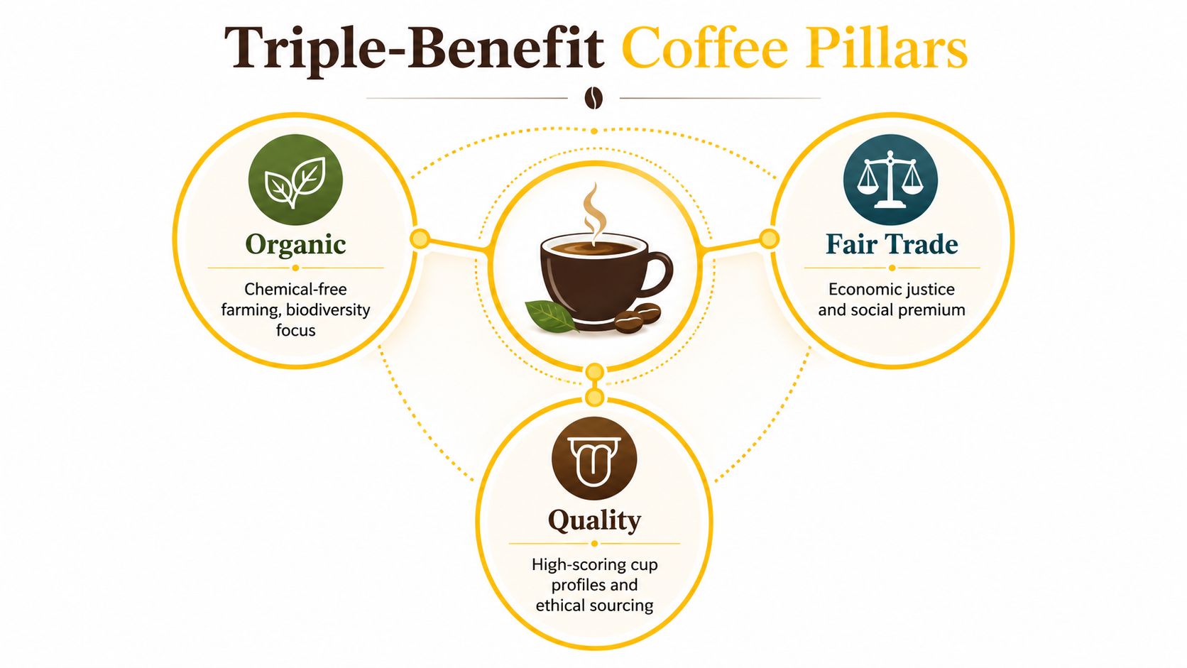 A diagram illustrating the three pillars of sustainable coffee: organic farming, fair trade, and quality standards.