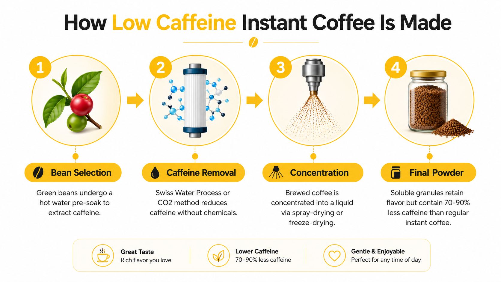 An infographic detailing the four-step process for making low caffeine instant coffee from bean to powder.