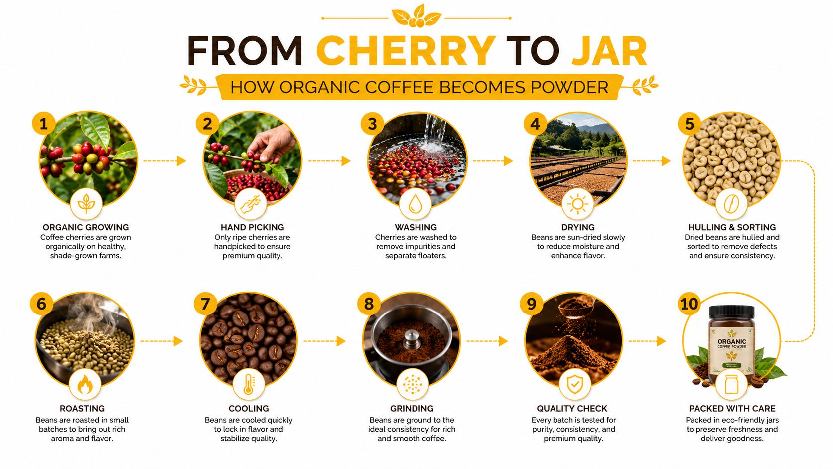 A 10-step infographic illustrating the production process of organic coffee from raw cherries to packaged powder.