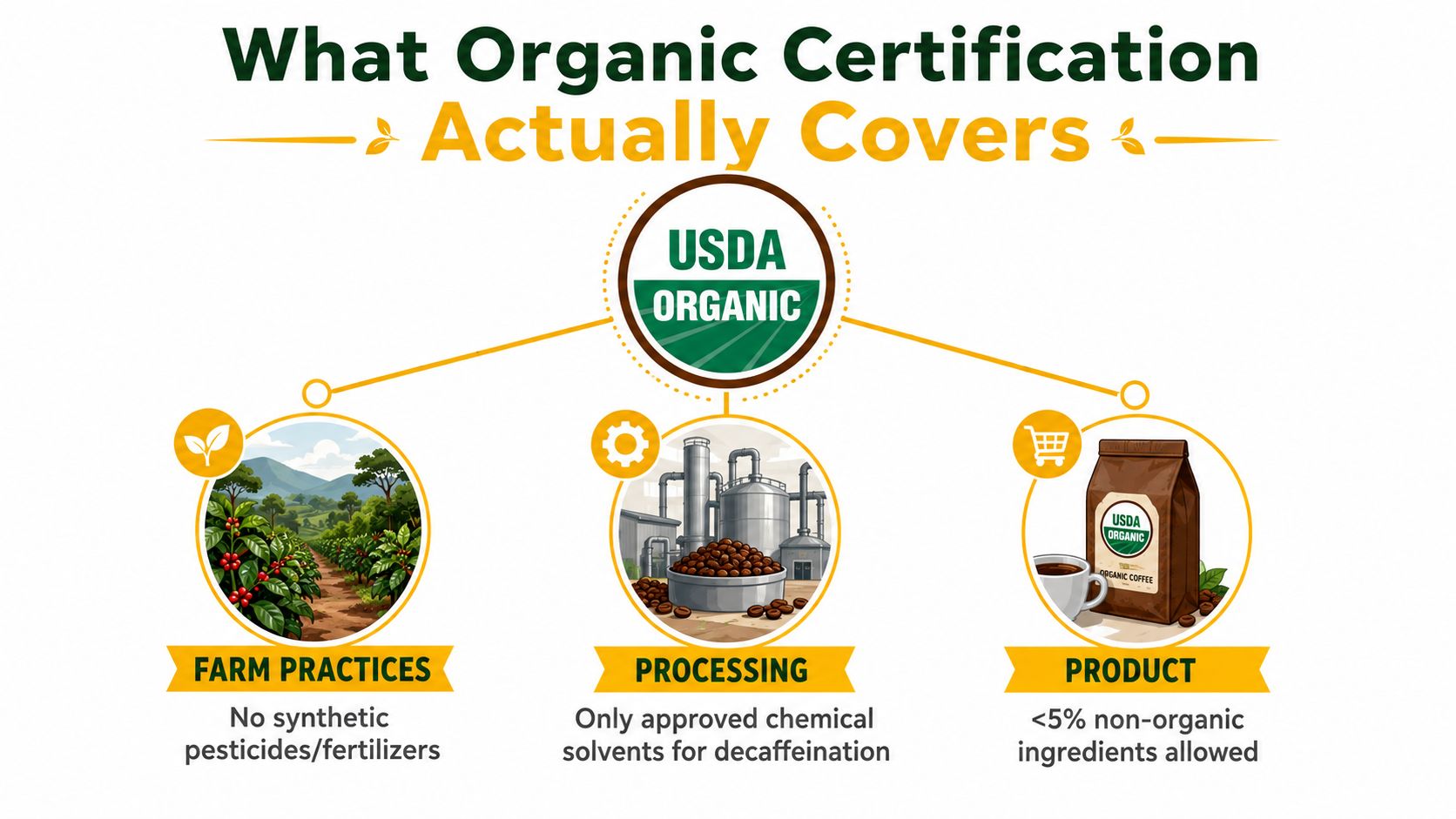 An infographic showing the three stages covered by USDA Organic certification for coffee: farming, processing, and final product.