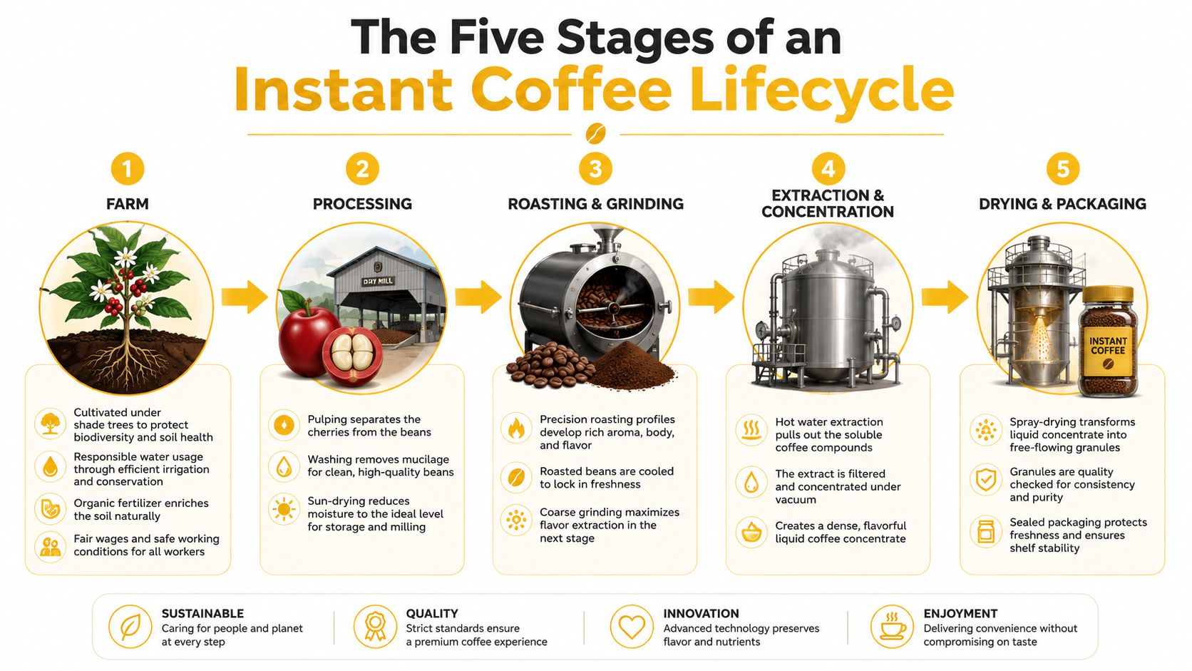 An infographic detailing the five steps of the instant coffee production lifecycle from farm to packaging.